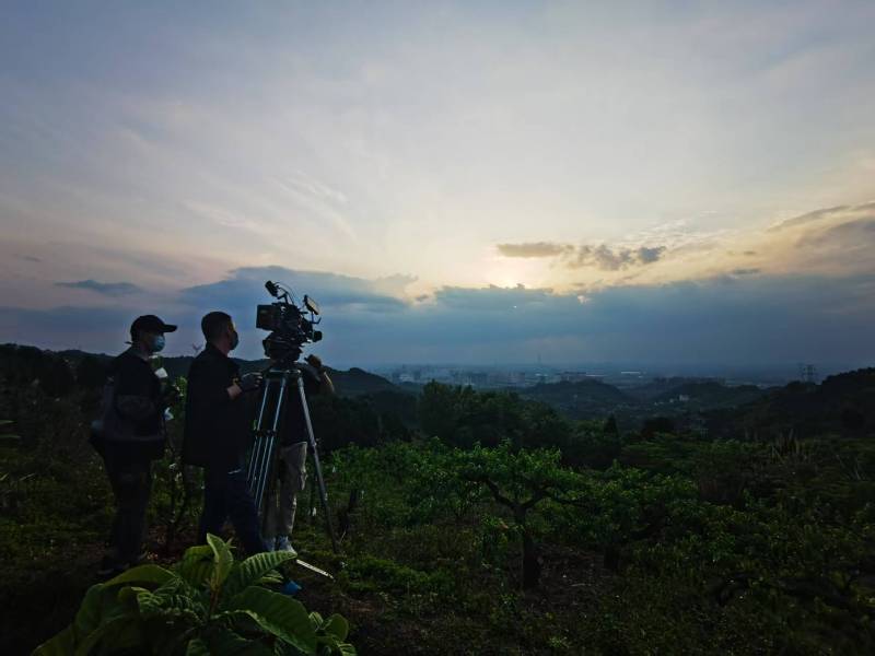 聚焦林周县产品宣传视频拍摄公司，用专业实力铸就品牌传播传奇