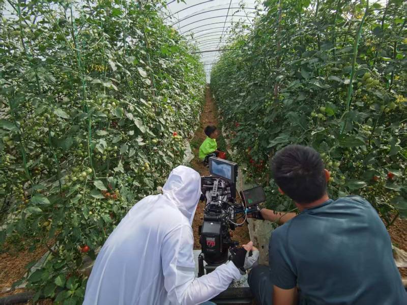 林周县产品宣传视频拍摄公司进阶指南，助力品牌抢占传播高地